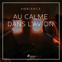 Au calme dans l’avion