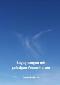 Begegnungen mit geistigen Wesenheiten - Ein spannendes Buch voller interessanter Geschichten und lehrreichen Erkenntnissen über die geistige Welt