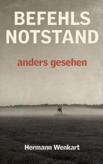 Befehlsnotstand anders gesehen - Tatsachenbericht eines jüdischen Lagerfunktionärs