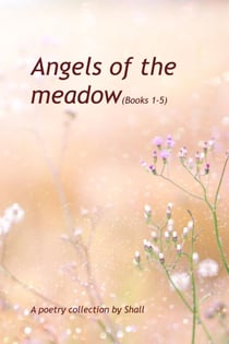 Angels of the Meadow - Books 1-5 - Angels of the meadow, #1