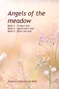 Angels of the Meadow - Books 3-5
