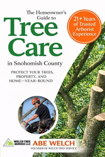 The Homeowner's Guide to Tree Care in Snohomish County