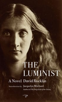 The Luminist - A Novel
