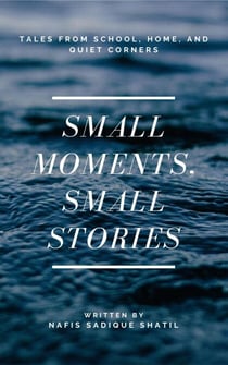 Small Moments, Small Stories: Tales from School, Home, and Quiet Corners
