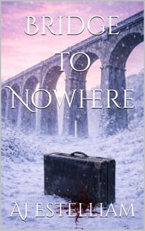 Bridge to Nowhere - Emerson and Snow, #5