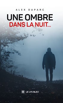 Une ombre dans la nuit…