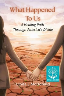 What Happened to Us - A Healing Path Through America's Divide - The Way Forward, #1