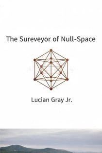 The Surveyor of Null-Space