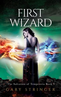 First Wizard - The Salvation of Tempestria, #9