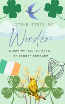 Little Wings of Wonder: Celtic Bird Magic - Little Wings of Wonder