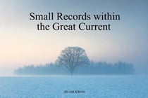 Small Records within the Great Current