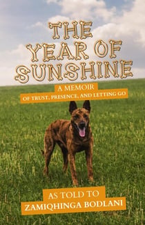 The Year of Sunshine