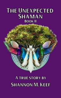 The Unexpected Shaman: Book Two - The Unexpected Shaman, #2