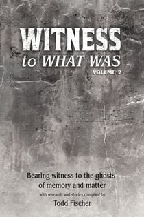 WITNESS to What Was:  Volume 2