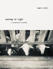 Anatomy of Light