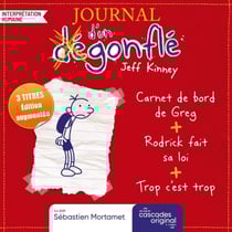 Journal d'un dégonflé - Coffret de trois tomes (édition augmentée) - Coffret de 3 tomes