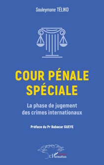 Cour pénale spéciale - La phase de jugement des crimes internationaux