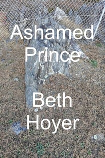 Ashamed Prince - Kingdom of Vineland, #3