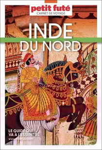 Guide Inde Du Nord 2026 Carnet Petit Futé