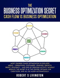 The Business Optimization Secret - BusinessWiser Cash Flow Mastery Series, #1