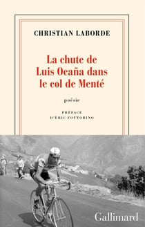 La chute de Luis Ocaña dans le col de Menté