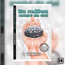 Un caillou tombé du ciel
