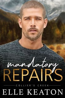 Mandatory Repairs - Reclaimed Hearts, #6