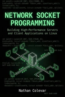 Network Socket Programming: Building High-Performance Servers and Client Applications on Linux - Professional Systems Engineering