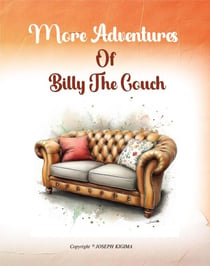 More Adventures of Billy The Couch