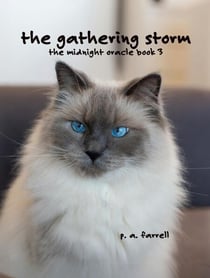 The Gathering Storm - The Midnight Oracle, #3