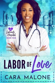 Labor of Love - Lakeside Hospital, #4