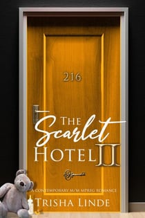 Room 216 - The Scarlet Hotel, #16