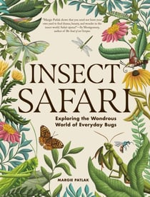 Insect Safari - Exploring the Wondrous World of Everyday Bugs