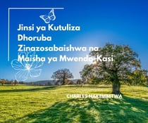 Jinsi ya Kutuliza Dhoruba Zinazosabaishwa na Maisha ya Mwendo-Kasi
