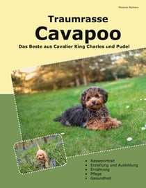 Traumrasse Cavapoo - Das Beste aus Cavalier King Charles Spaniel und Pudel