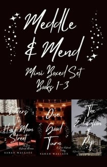 Meddle & Mend Mini Boxed Set Books 1-3 - Meddle & Mend: Regency Fantasy, #10