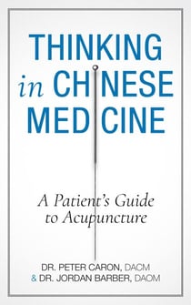 Thinking in Chinese Medicine: A Patient's Guide to Acupuncture