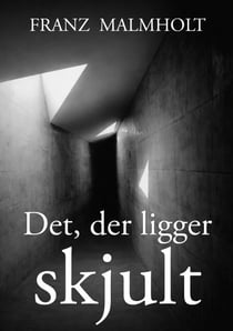 Det der ligger skjult - En roman om ansvar