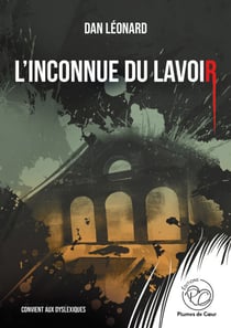 l'inconnue du lavoir