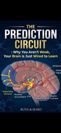 The Prediction Circuit - RUNA＆MARO, #1