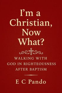 I'm A Christian, Now What? - My Christian Values