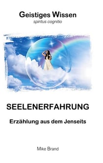 Seelenerfahrung - Erzählung aus dem Jenseits