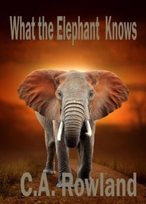 What the Elephant Knows