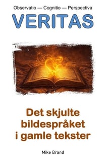 Det skjulte Bildespråket i gamle tekster