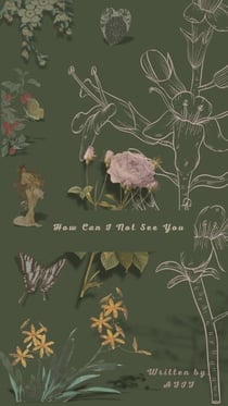 How Can I Not See You?