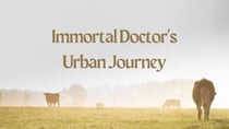 Immortal Doctor's Urban Journey