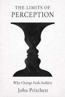 The Limits of Perception: Why Change Feels Sudden