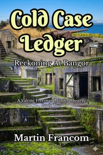 Cold Case Ledger (Book 2) - Valerie Freeman, #2