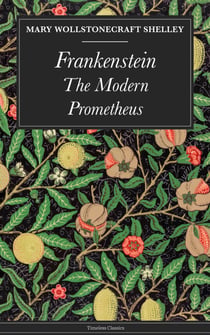 Frankenstein - The Modern Prometheus