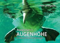 Begegnungen in  Augenhöhe - Ein Blick auf andere Persönlichkeiten